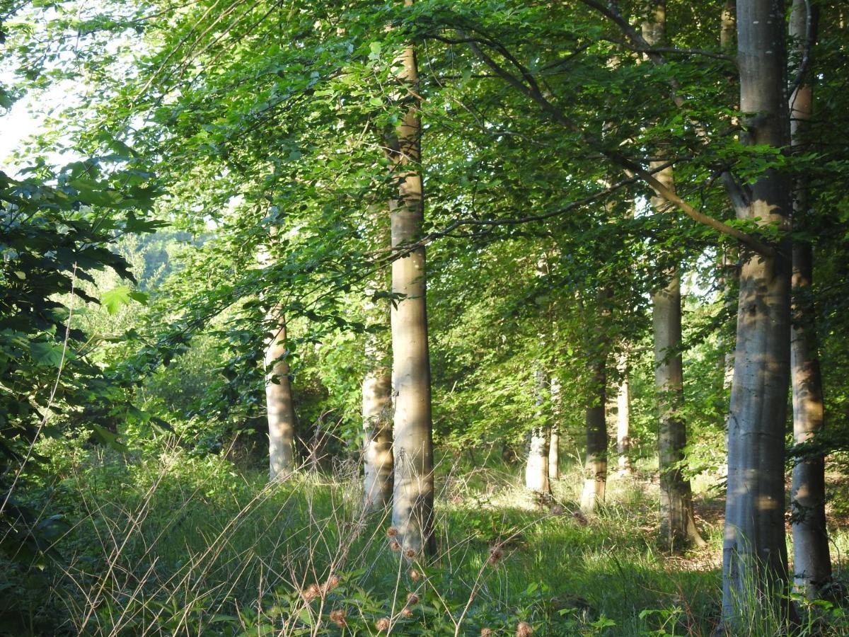 Aa Strand Camping Ebberup Zewnętrze zdjęcie