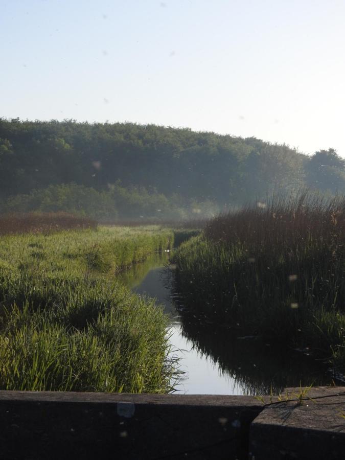 Aa Strand Camping Ebberup Zewnętrze zdjęcie